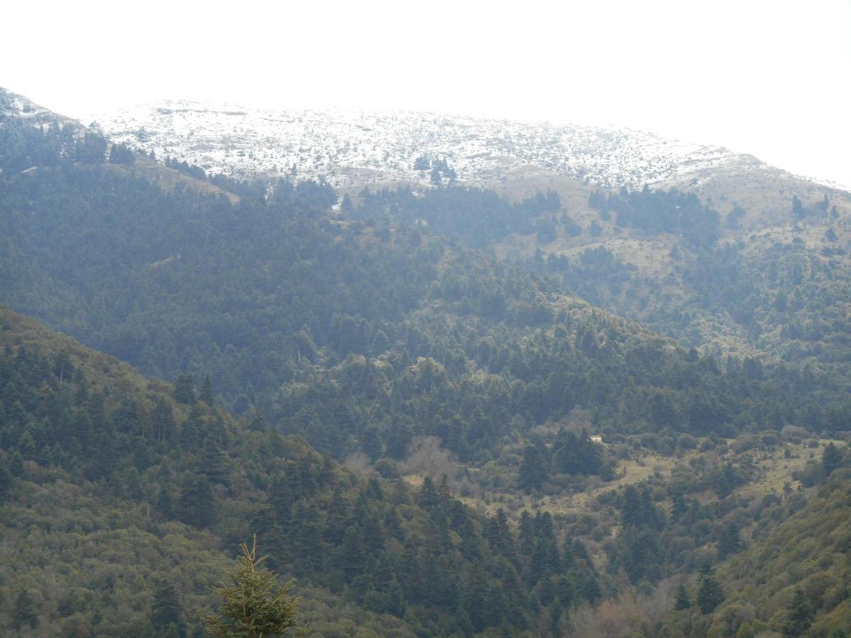 Amadriades Kalavryta Buitenkant foto